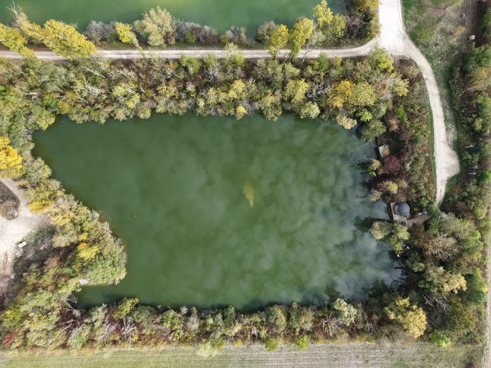 L'étang Sauvage vu du ciel, bordé d'arbres, avec un dôme sur sa rive.