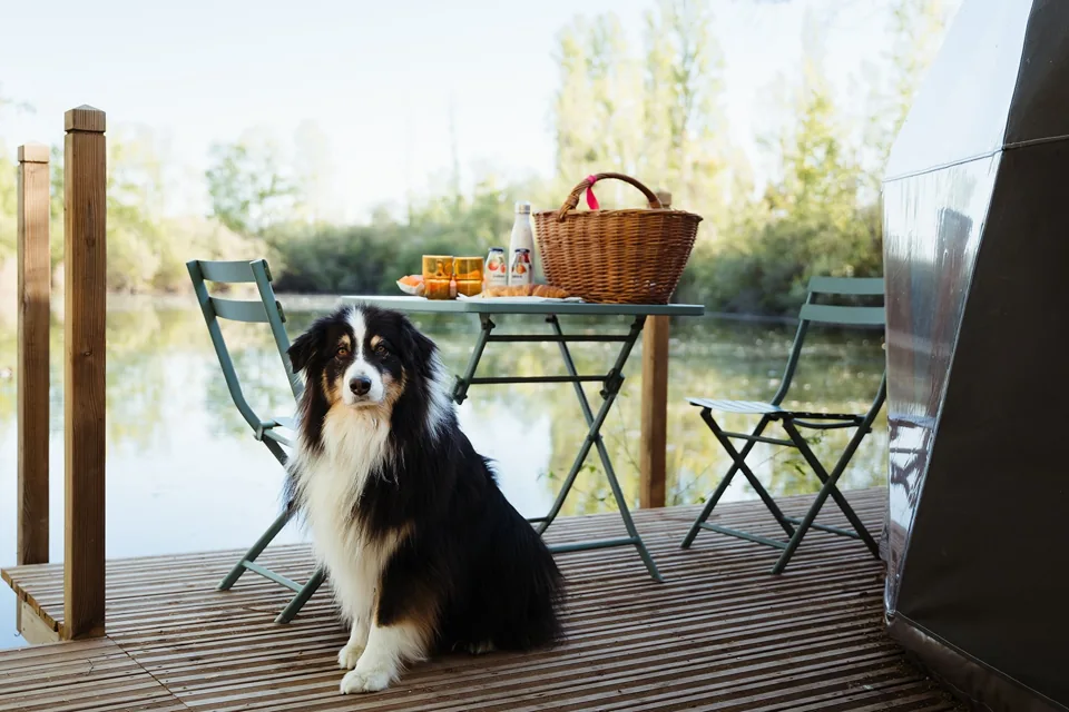 Le panier petit-déjeuner servi sur la terrasse.