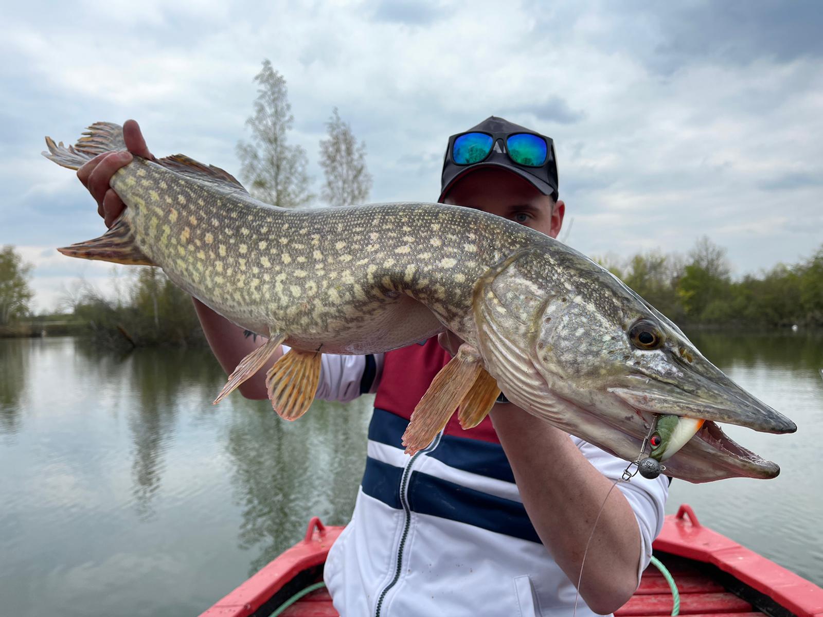 Predator fishing by boat in the Vosges and Lorraine