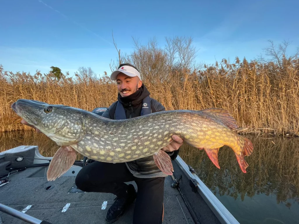 Un pêcheur présente un brochet à bord d’une embarcation, devant les roseaux.