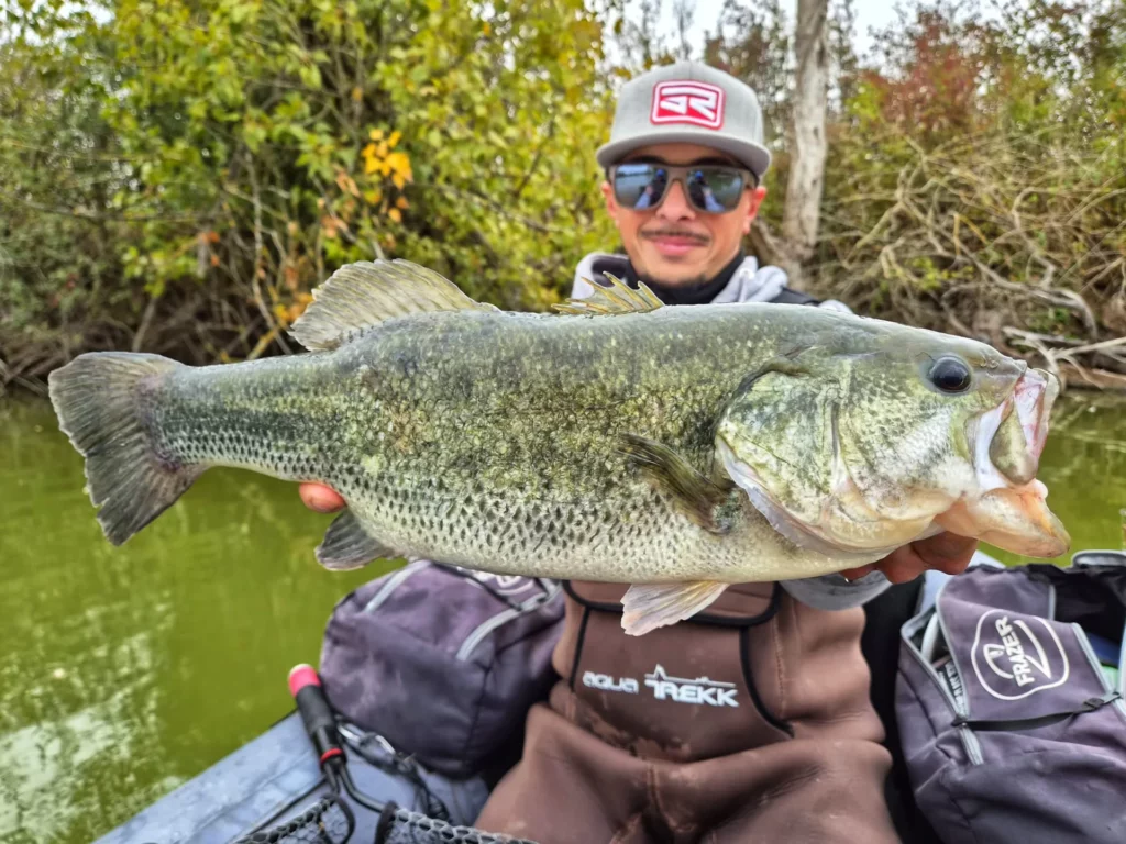 Un pêcheur tient un black-bass horizontalement au-dessus de son float-tube.